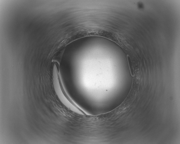 X0000062800916200601051107