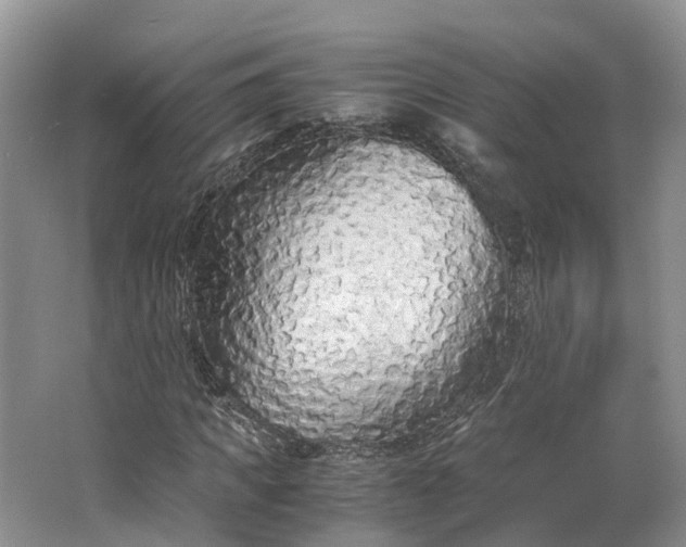 X0000062800917200601051107