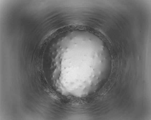 X0000062800919200601051107