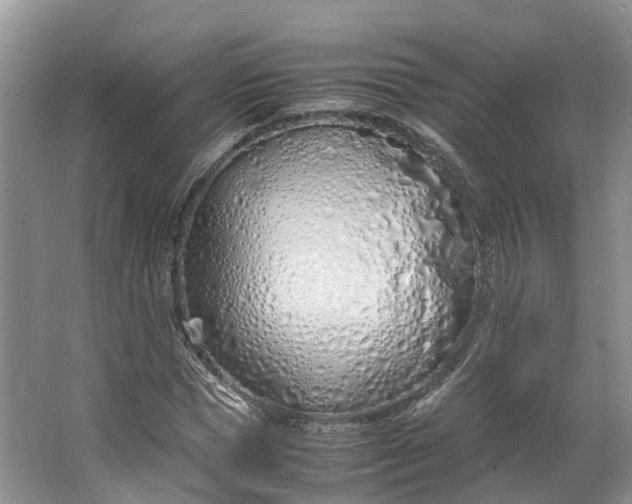 X0000062800921200601051108