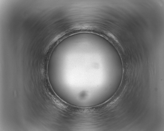 X0000062800922200601051108