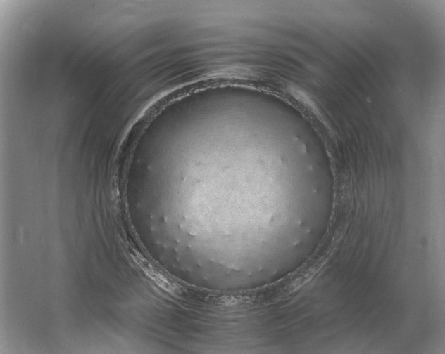 X0000062800923200601051108