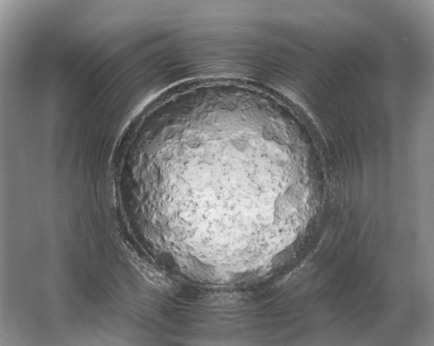 X0000062800925200601051108