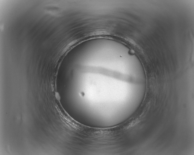 X0000062800929200601051108