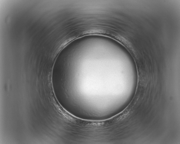 X0000062800937200601051108