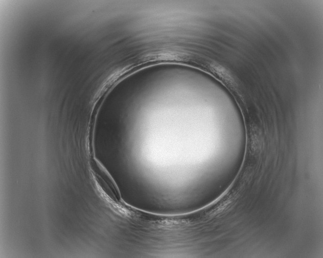 X0000062800938200601051108