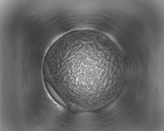 X0000062800943200601051108