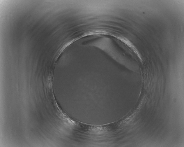 X0000062800945200601051108