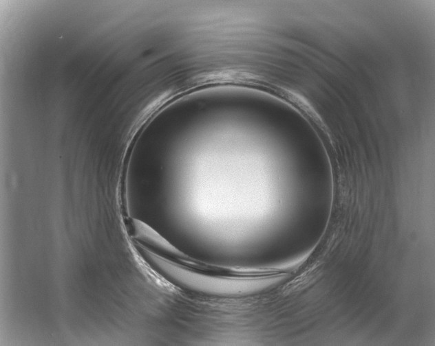 X0000062800946200601051108