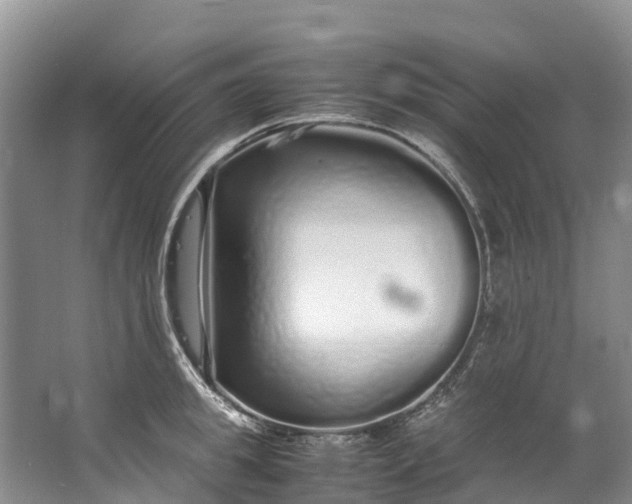 X0000062800949200601051108