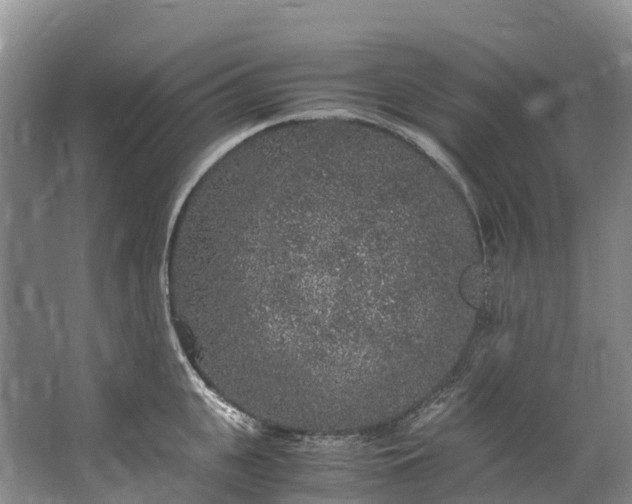 X0000062800951200601051108