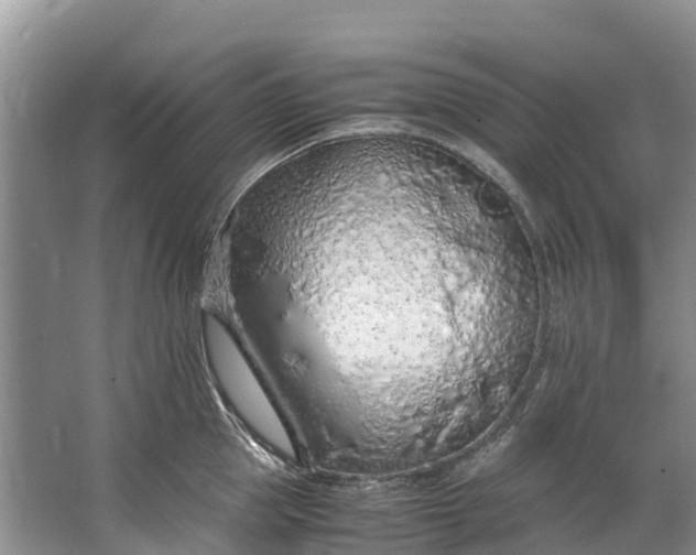 X0000062800953200601051108