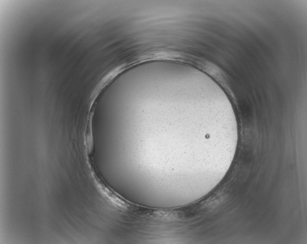 X0000062800954200601051108