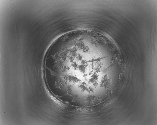 X0000062800955200601051108