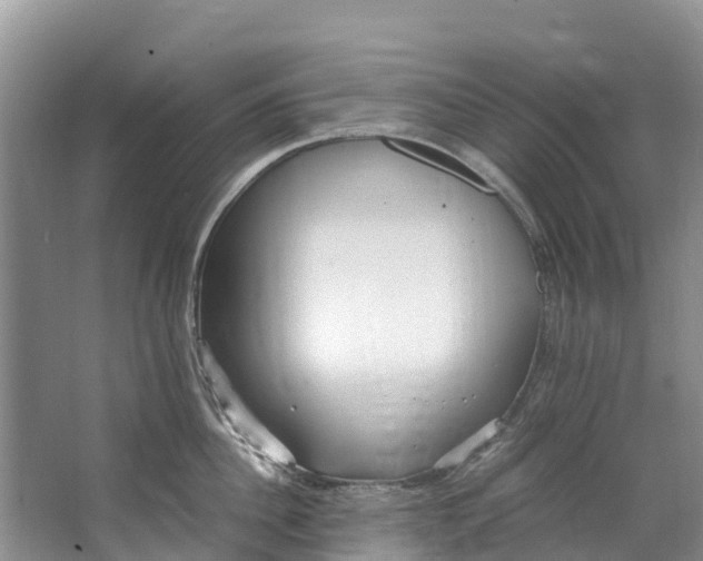 X0000062800956200601051108