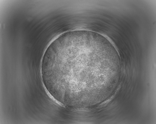 X0000062800957200601051108