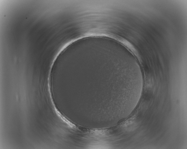 X0000062800958200601051108