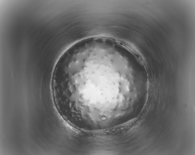 X0000062800959200601051108