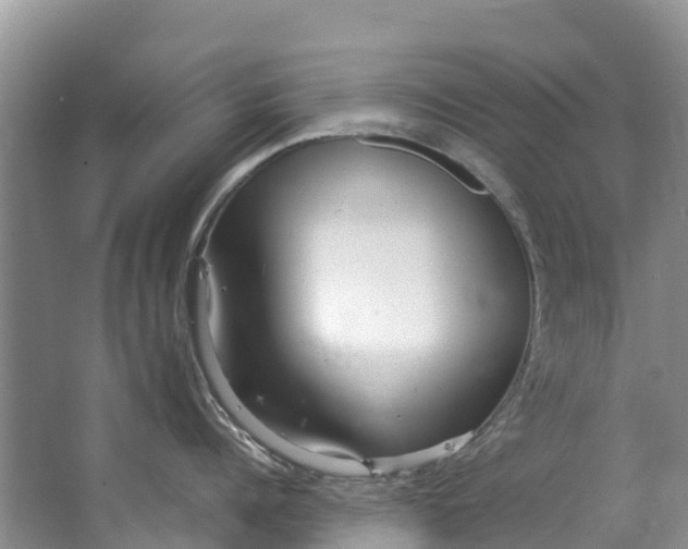 X0000062800960200601051108