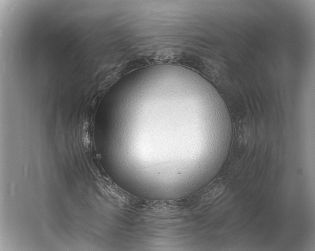 X0000062800962200601051107