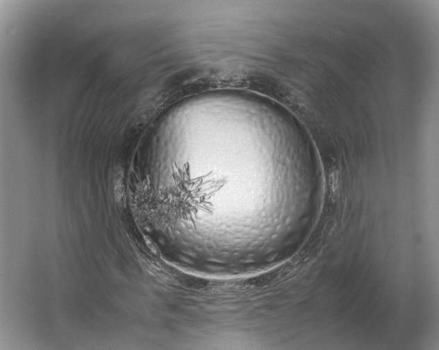 X0000062800963200601051107