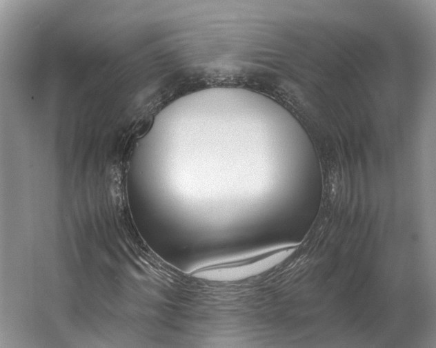 X0000062800964200601051107