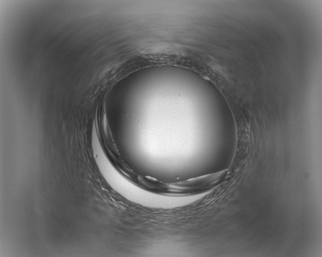 X0000062800965200601051107