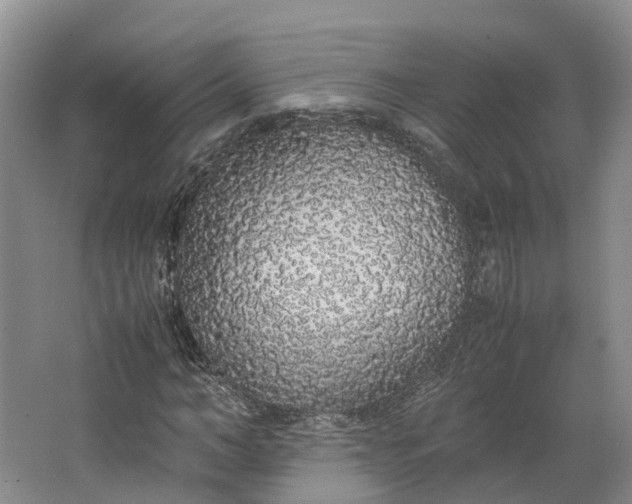 X0000062800966200601051107