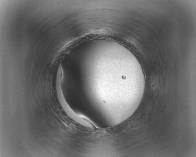 X0000062800968200601051107