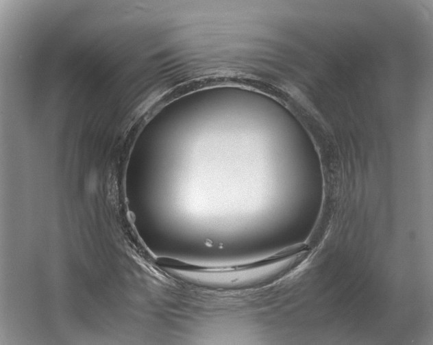 X0000062800969200601051107