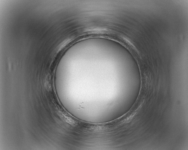 X0000062800970200601051107