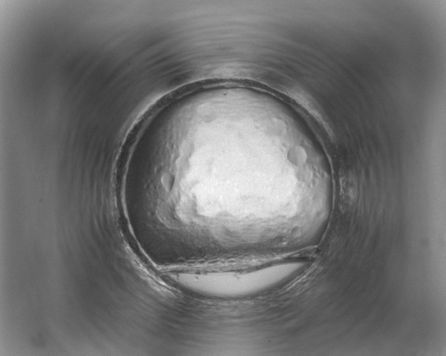 X0000062800972200601051107