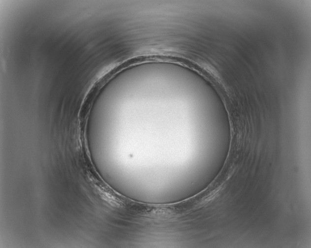 X0000062800974200601051107