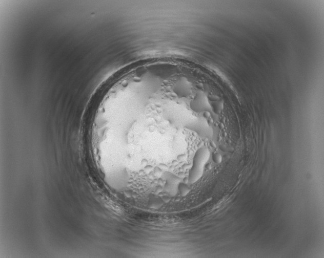 X0000062800975200601051107