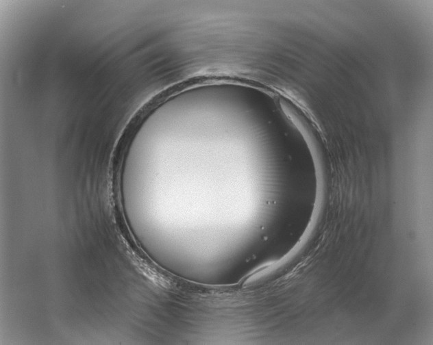 X0000062800976200601051107