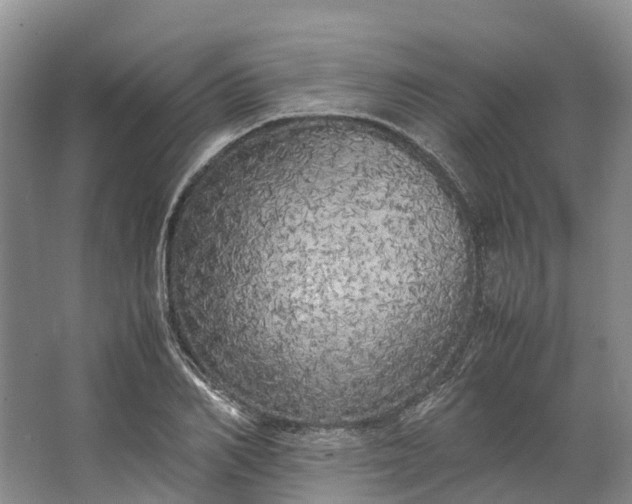 X0000062800982200601051107