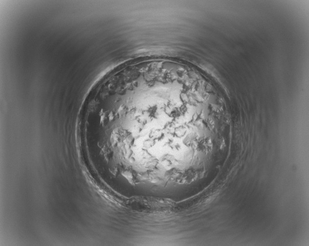 X0000062800983200601051107