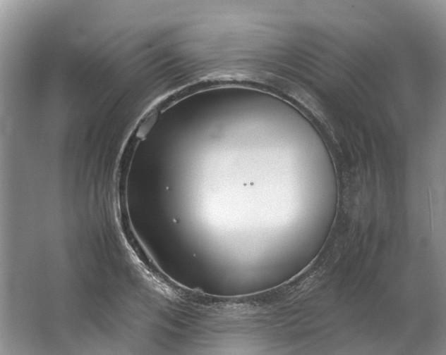 X0000062800984200601051107