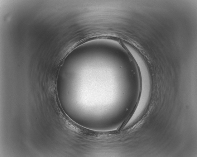 X0000062800985200601051107