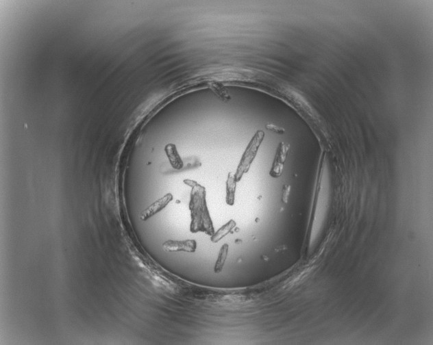 X0000062800986200601051107