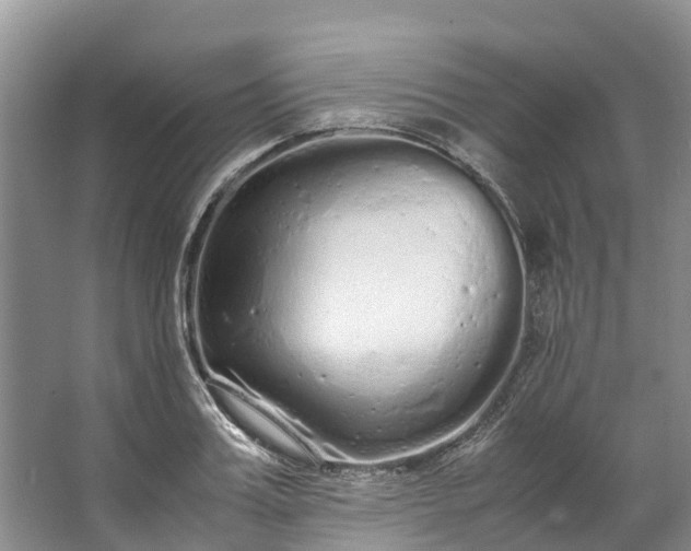 X0000062800987200601051107