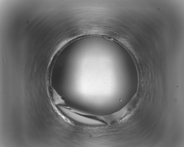 X0000062800989200601051107