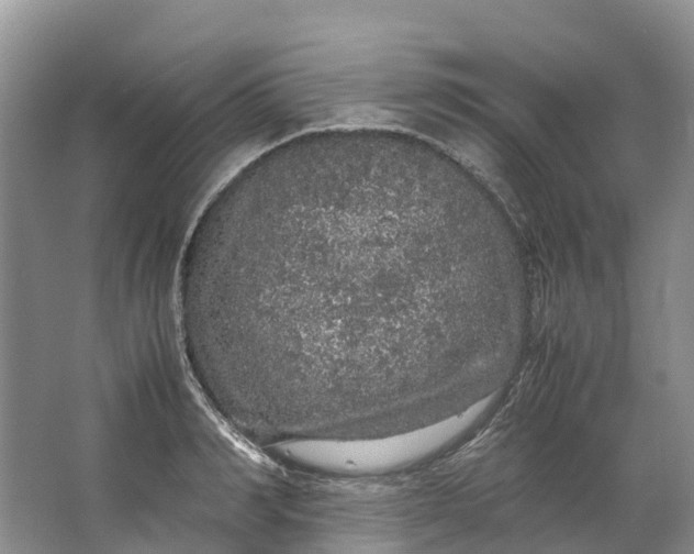 X0000062800990200601051107