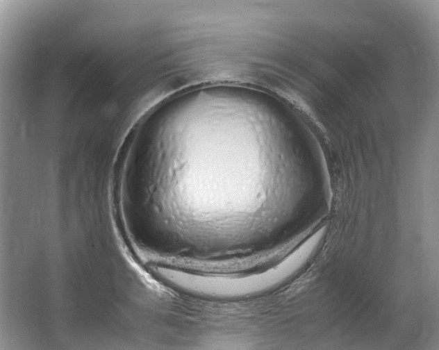 X0000062800991200601051107