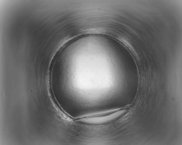 X0000062800992200601051107