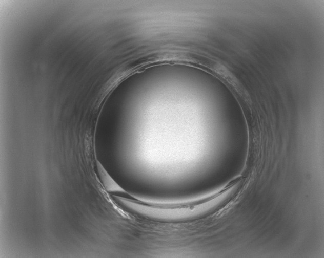 X0000062800993200601051107