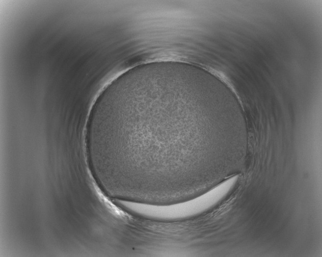 X0000062800995200601051107