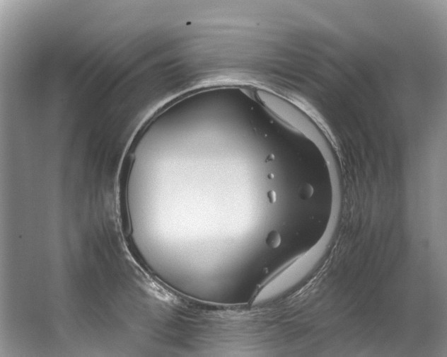 X0000062800996200601051107