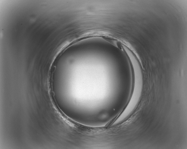 X0000062800997200601051107