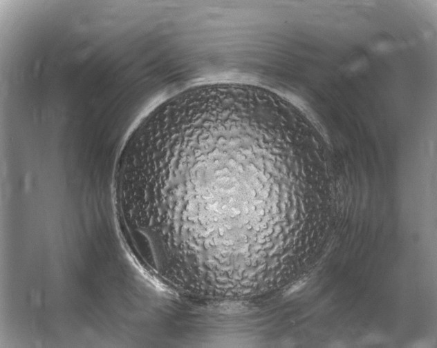 X0000062800998200601051107